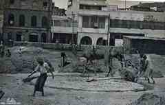 ���� ������ ��� ��� ����