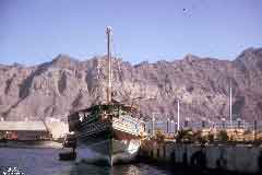 ���� ������ ��� ��� ����