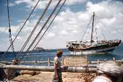 ���� ������ ��� ��� ����