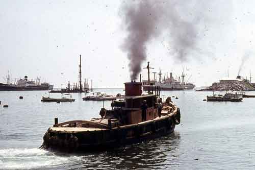 ���� ������ ��� ��� ����