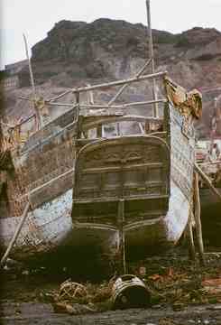 ���� ������ ��� ��� ����