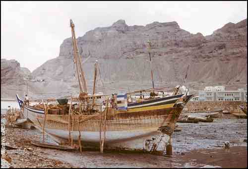 ���� ������ ��� ��� ����