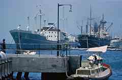 ���� ������ ��� ��� ����