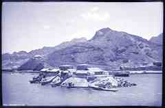 ���� ������ ��� ��� ����