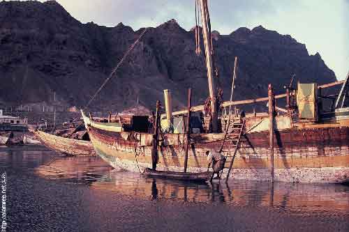 ���� ������ ��� ��� ����