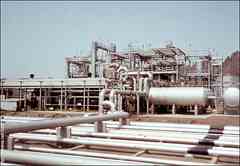 ���� ������ ��� ��� ����