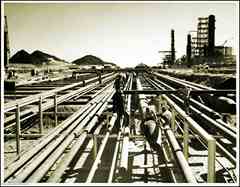 ���� ������ ��� ��� ����