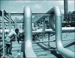 ���� ������ ��� ��� ����