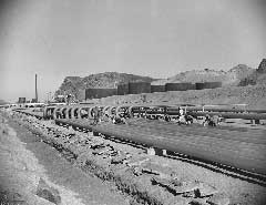 ���� ������ ��� ��� ����