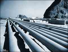 ���� ������ ��� ��� ����