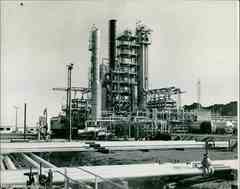 ���� ������ ��� ��� ����