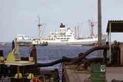 ���� ������ ��� ��� ����