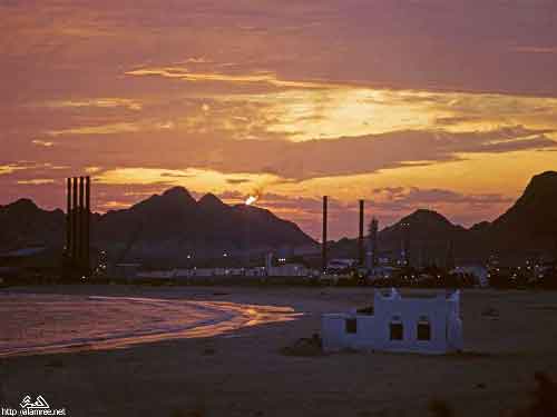 ���� ������ ��� ��� ����