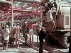 ���� ������ ��� ��� ����