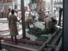 ���� ������ ��� ��� ����