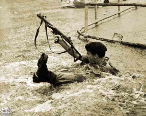 ���� ������ ��� ��� ����