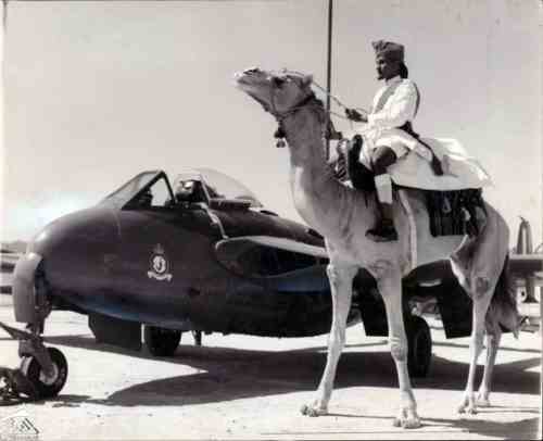 ���� ������ ��� ��� ����