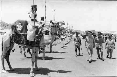 ���� ������ ��� ��� ����