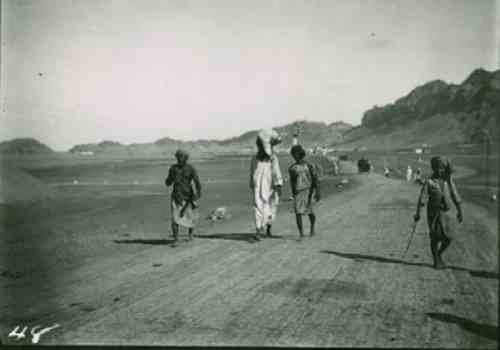 ���� ������ ��� ��� ����