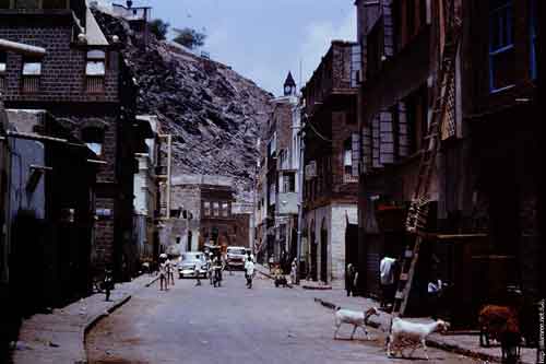 ���� ������ ��� ��� ����