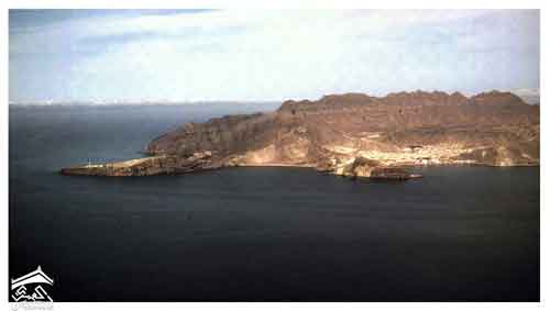 ���� ������ ��� ��� ����