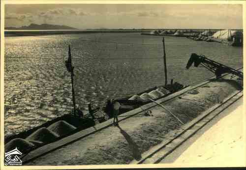 ���� ������ ��� ��� ����