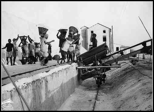 ���� ������ ��� ��� ����