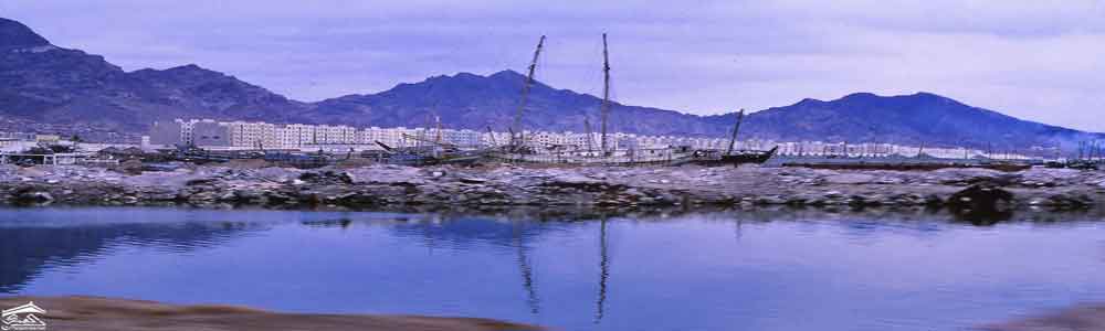 ����� ������ ���� ����� ����� �������� �������� ��� ������� ���� ����� ����� �������