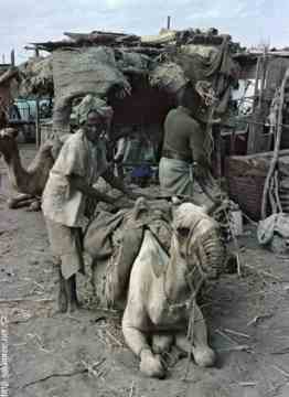 ���� �����  ����� ����� ������� �� ���� ����� ������ ����� ����� ������ 1965