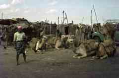 ����� �����  ���� ������� ������ ���� ���� ������� ����� �� ���� ����� ����� 1965