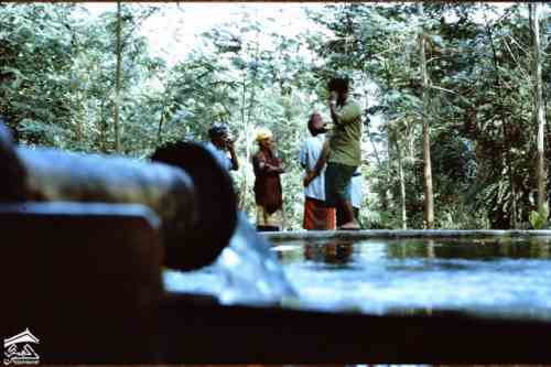 ��� ������ ��� ��� 1965�