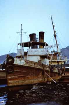 ����� ���� ��������� �� ��� ����� ������� ������ ��� ������� �� 1950�