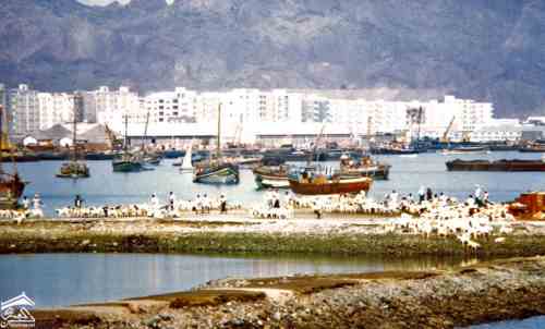 ����� ������ ���� ����� ����� �������� �������� ��� ������� ���� ����� ����� ������� ������ ��� ������ ����� ��������� ��������� �� �������  �� ��� ������