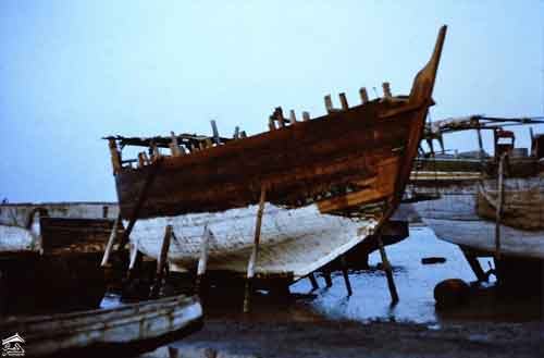 ����� ������ ������ �� ����� �������  ������ ����� ����� ����� ��������