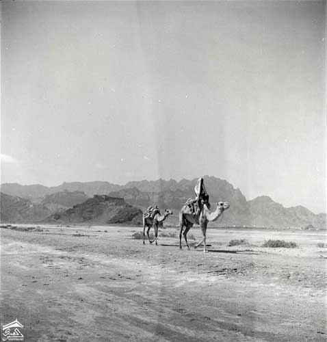 ������� �� ��� 1930-1940� ������ ������� ��� ������ ���� ������ ��� ��� ����� ������