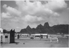 ����� ����� ���������� ��� ������ "�������" ��� 1954�