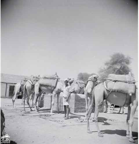 ����� ����� �� ��������� ����� �������