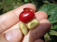 ����� ���� ��� ���� 