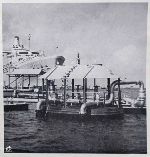 ���� ������ ������� ����� �� �� ������� ��� ����� ��� ��� ����� ��� ������ ������ �� ��������