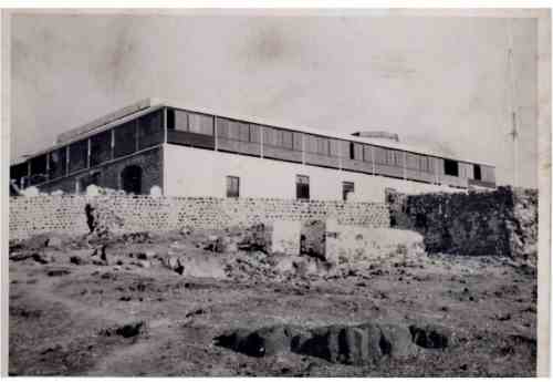 ���� ������ ��� ��� ����