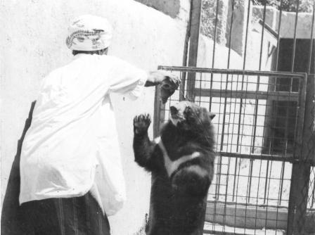 ���� ��� ����� ����