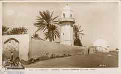 ���� ������� ����� ����� ���� �����