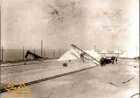 ����� ���� ������ ����� �������