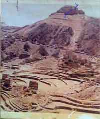 ���� ������ ��� ��� ����