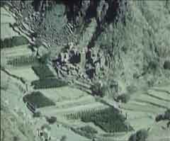 ���� ������ ��� ��� ����