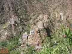 ���� ������ �� ����� ����