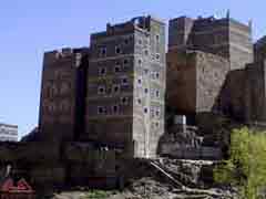  ���� ������ ���� ������ ����