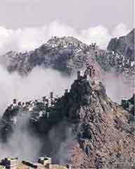 ���� ����� ������ ���� 