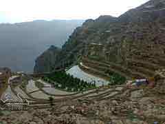 ����� �����  ����