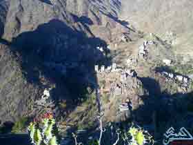 ��� ���� ���� 